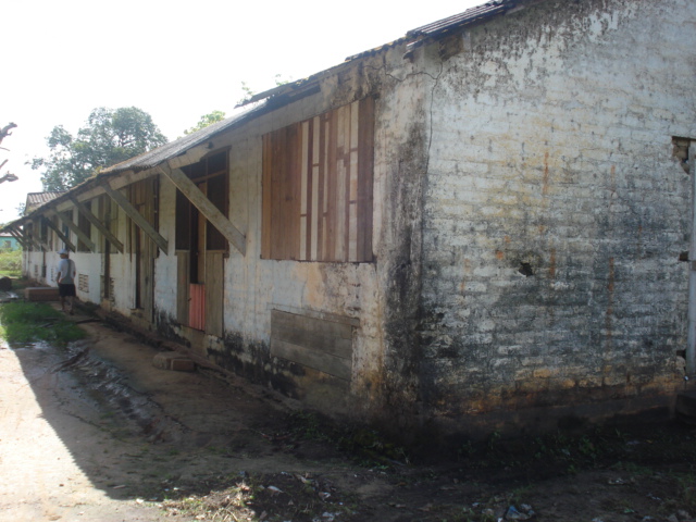Dsc00242