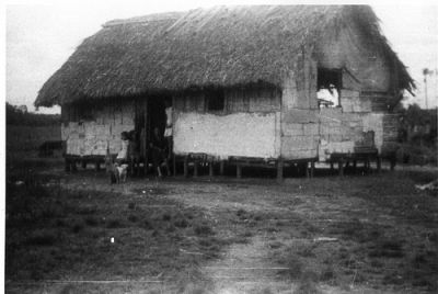 Amapa '45 Native Hut