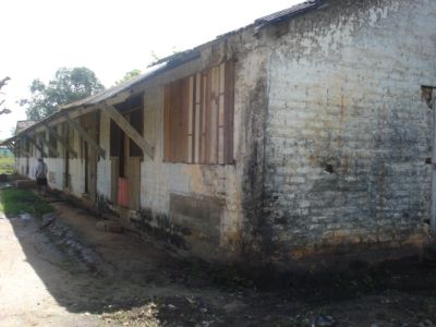 Dsc00242